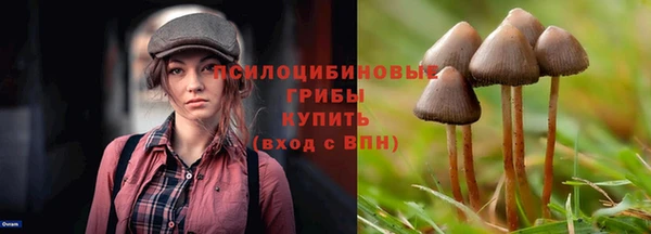 мяу мяу мука Семёнов