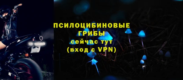 винт Горно-Алтайск