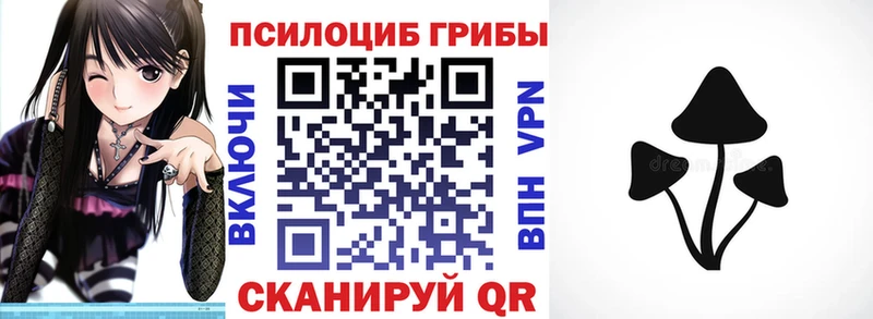 Псилоцибиновые грибы Cubensis  как найти закладки  Белый 